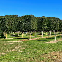 23-09-08 14-27-37 6477